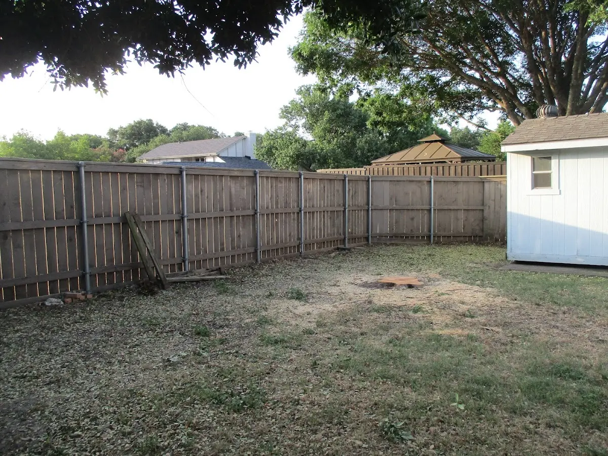 Cleared yard after professional tree removal in South Paris