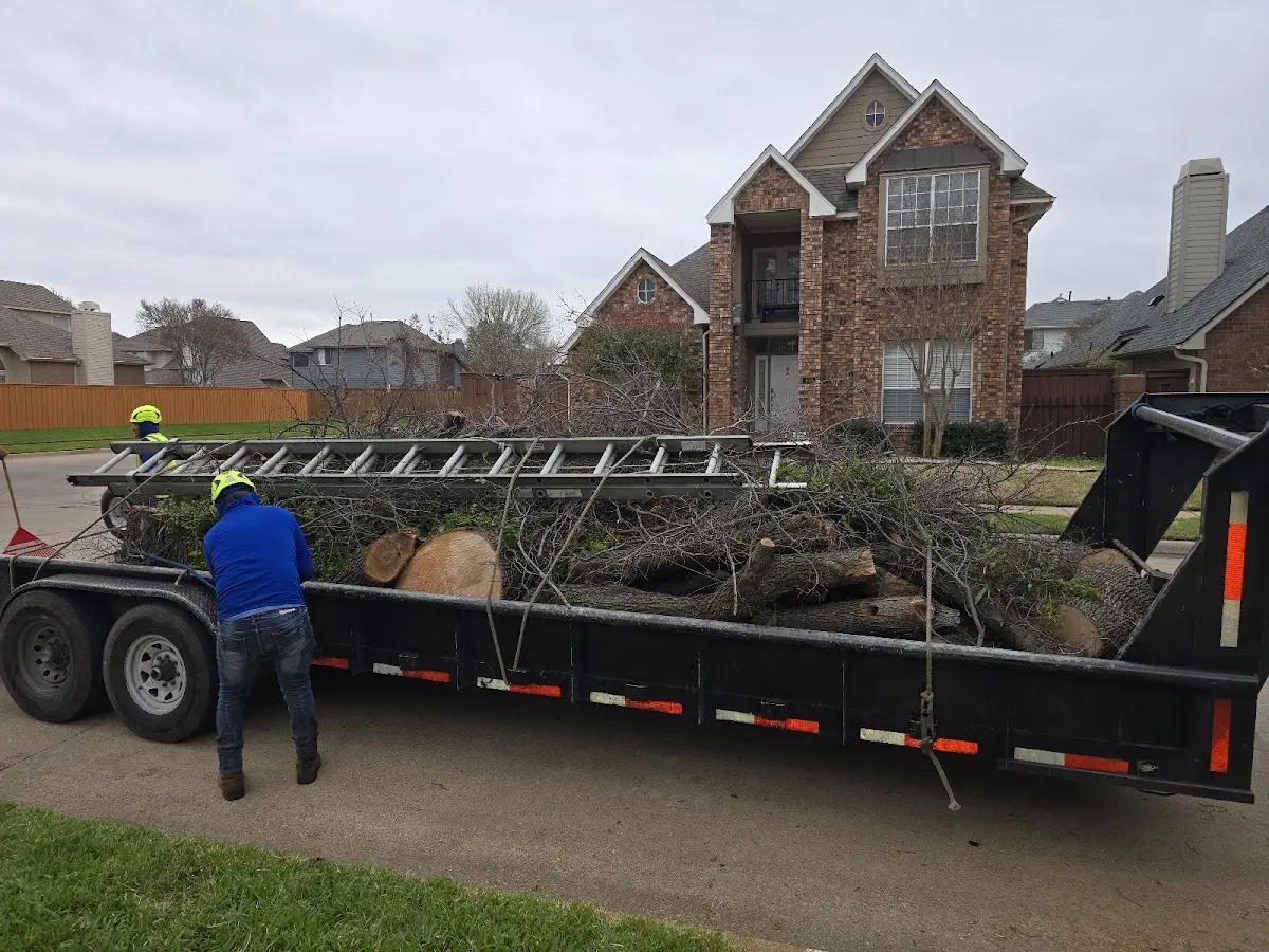 Expert Tree Fertilization with proper safety equipment in South Paris
